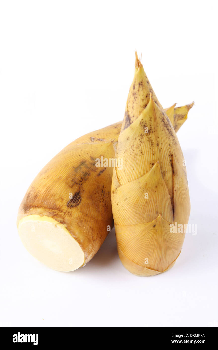 winter bamboo shoots Stock Photo Alamy