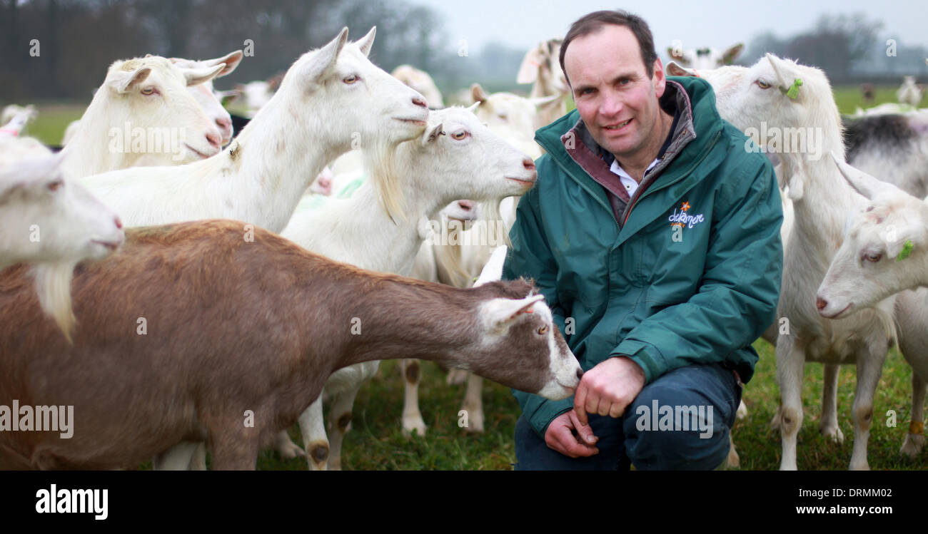 Staffordshire, UK. 12th Mar, 2012.  Nick Brandon poses with his goats.  This is the first year Britons will drink more than two million litres of goats' milk and the farmer who has Britain's largest grazing goat herd thanks the dry weather for helping to keep his goats happy and smiling.  'Goats really don't like rain - we need someone here all the time in case it rains,' said Nick Brandon, 60, who farms a huge, three thousand strong herd on his farm in Staffordshire. 'Unlike sheep, Stock Photo