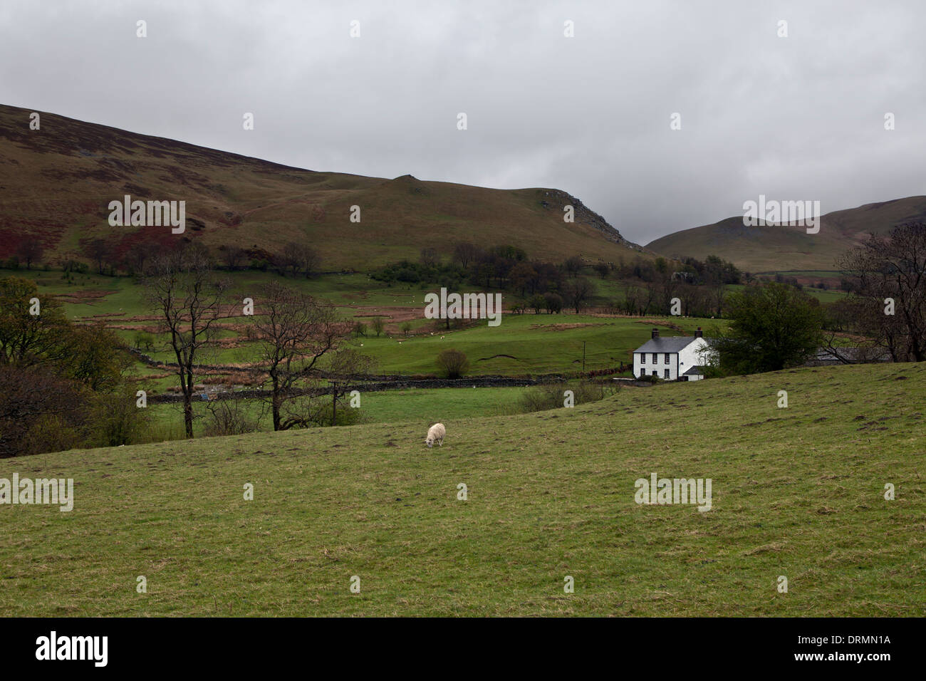 White Mountain Cottage Stock Photo Alamy