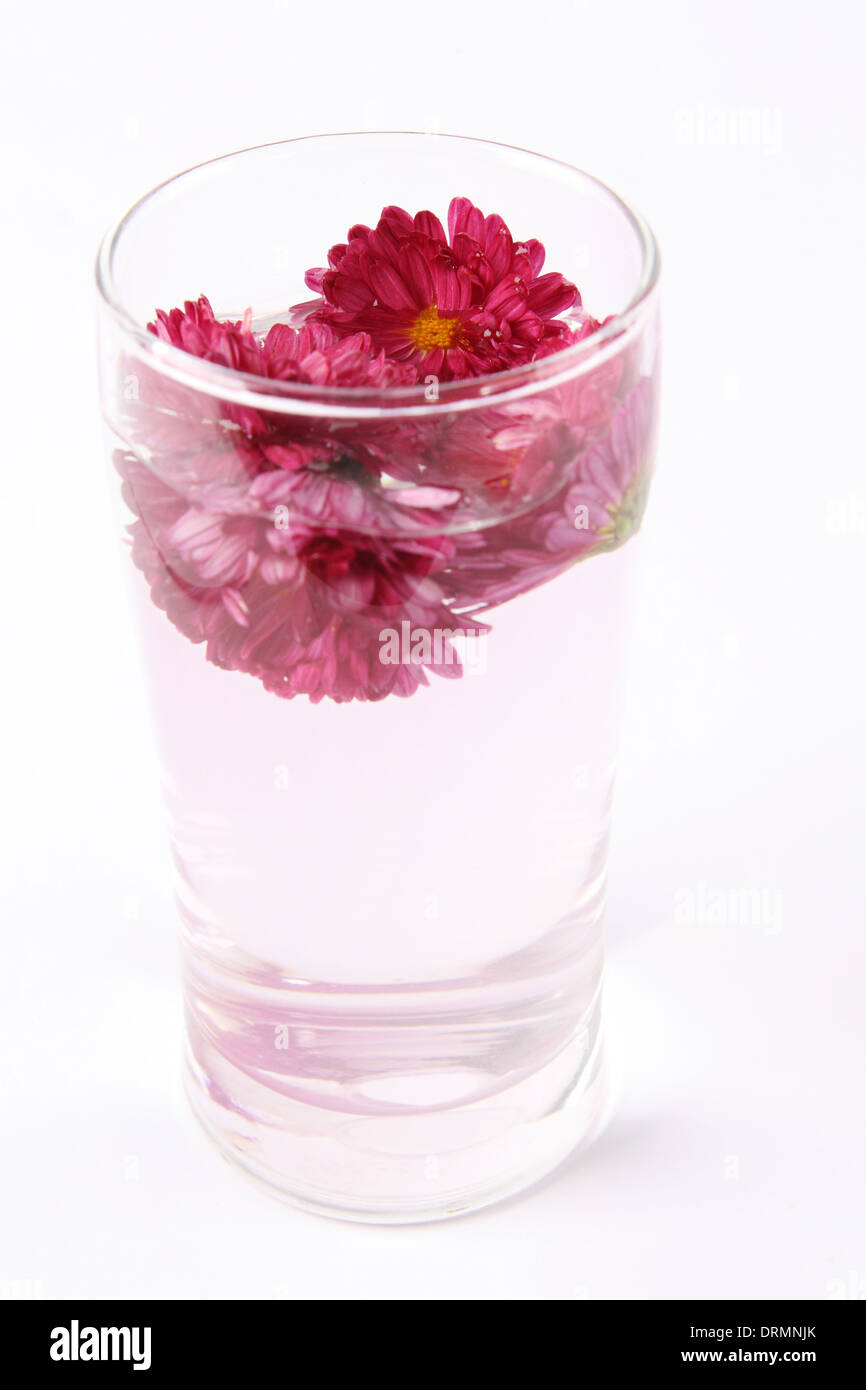 flower tea Stock Photo