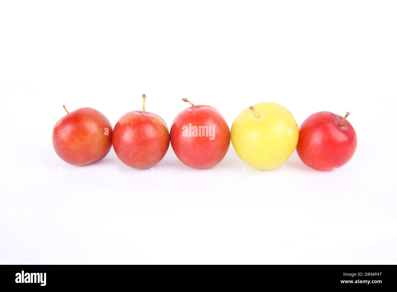 personality Stock Photo