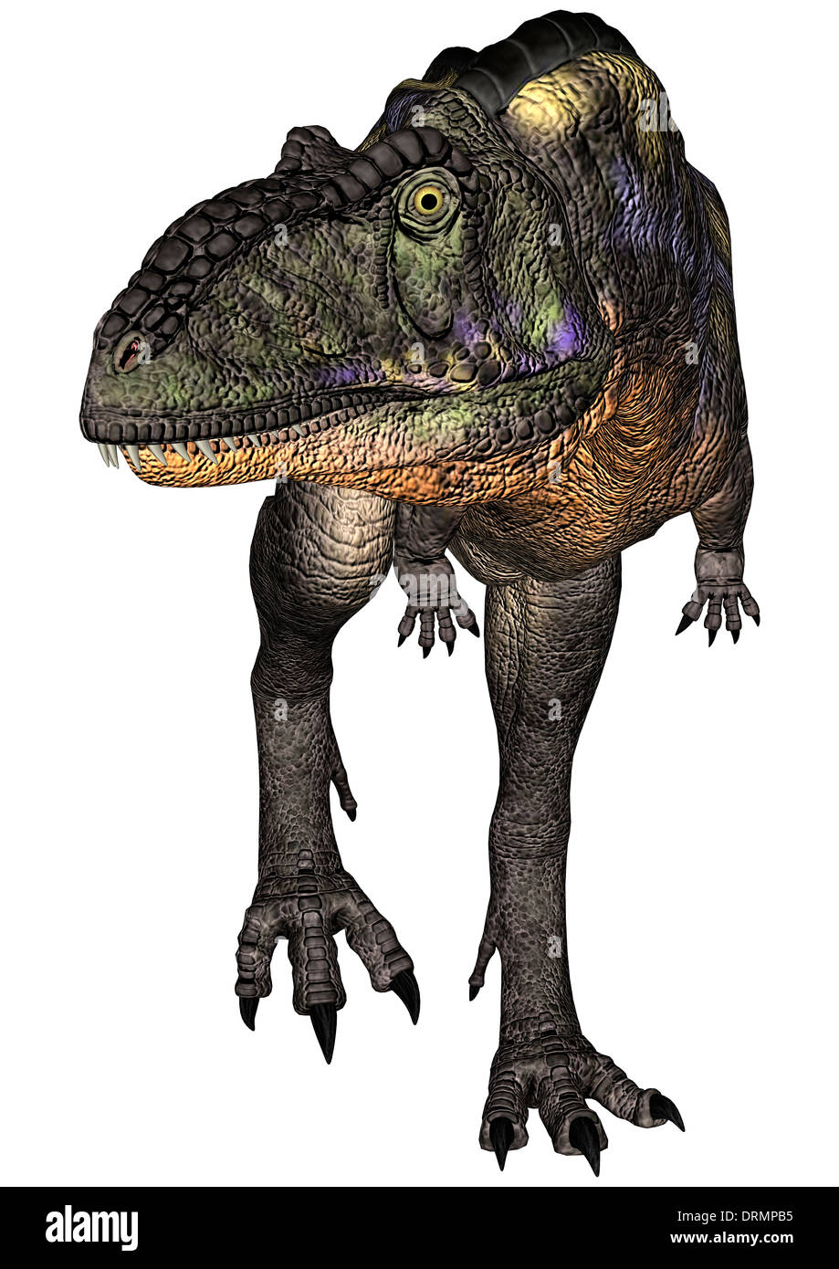 3D digital render of a walking dinosaur Aucasaurus isolated on white ...