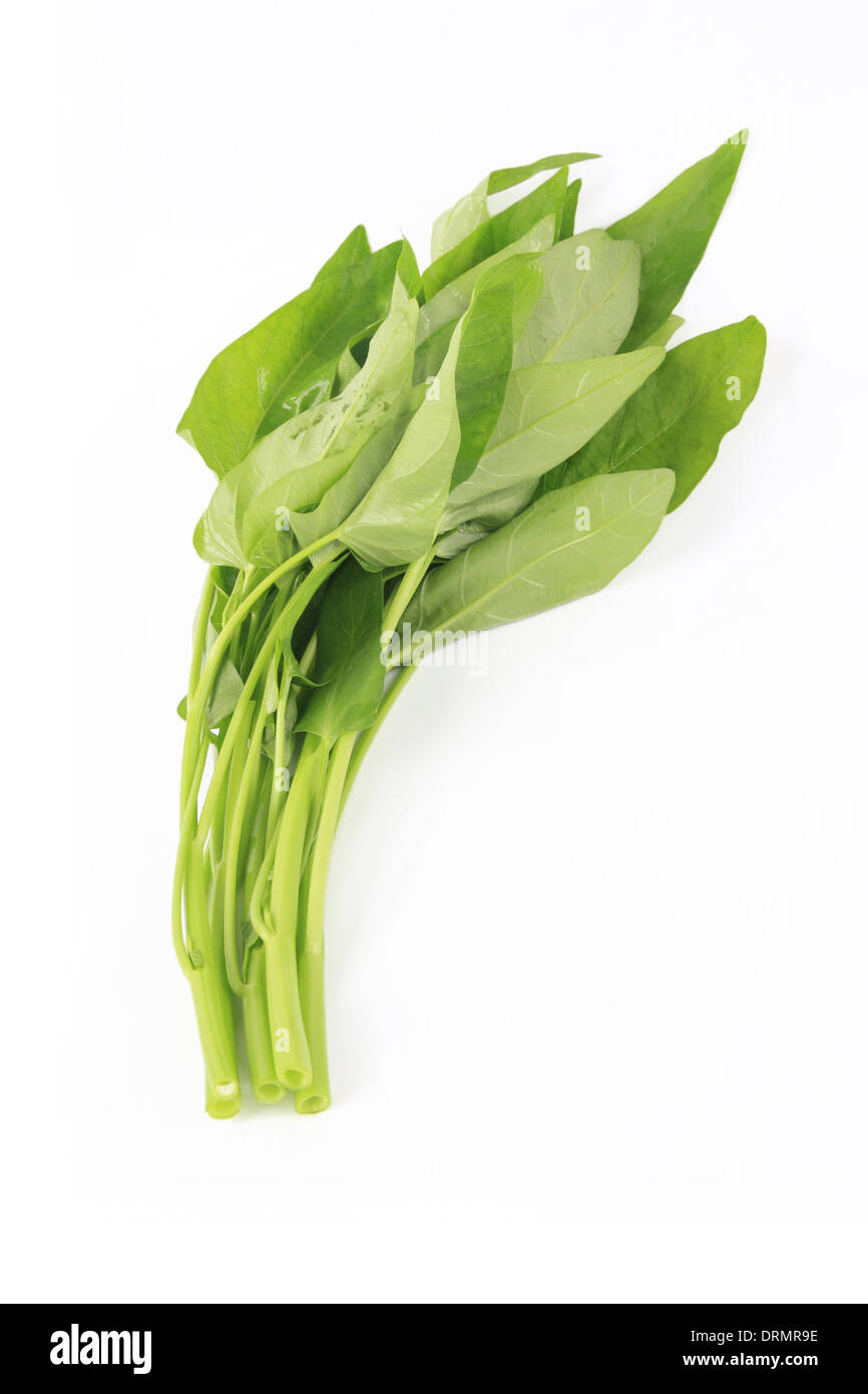 water spinach Stock Photo