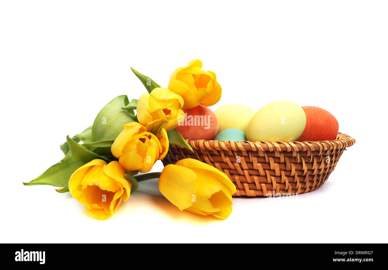 Colorful easter eggs in basket and tulips isolated on white Stock Photo