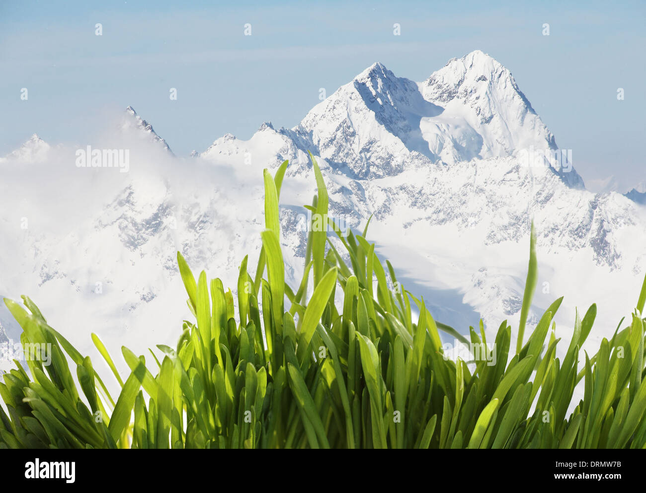 Idyll Spring Rural idyll spring scenery hi-res stock photography and images - Alamy