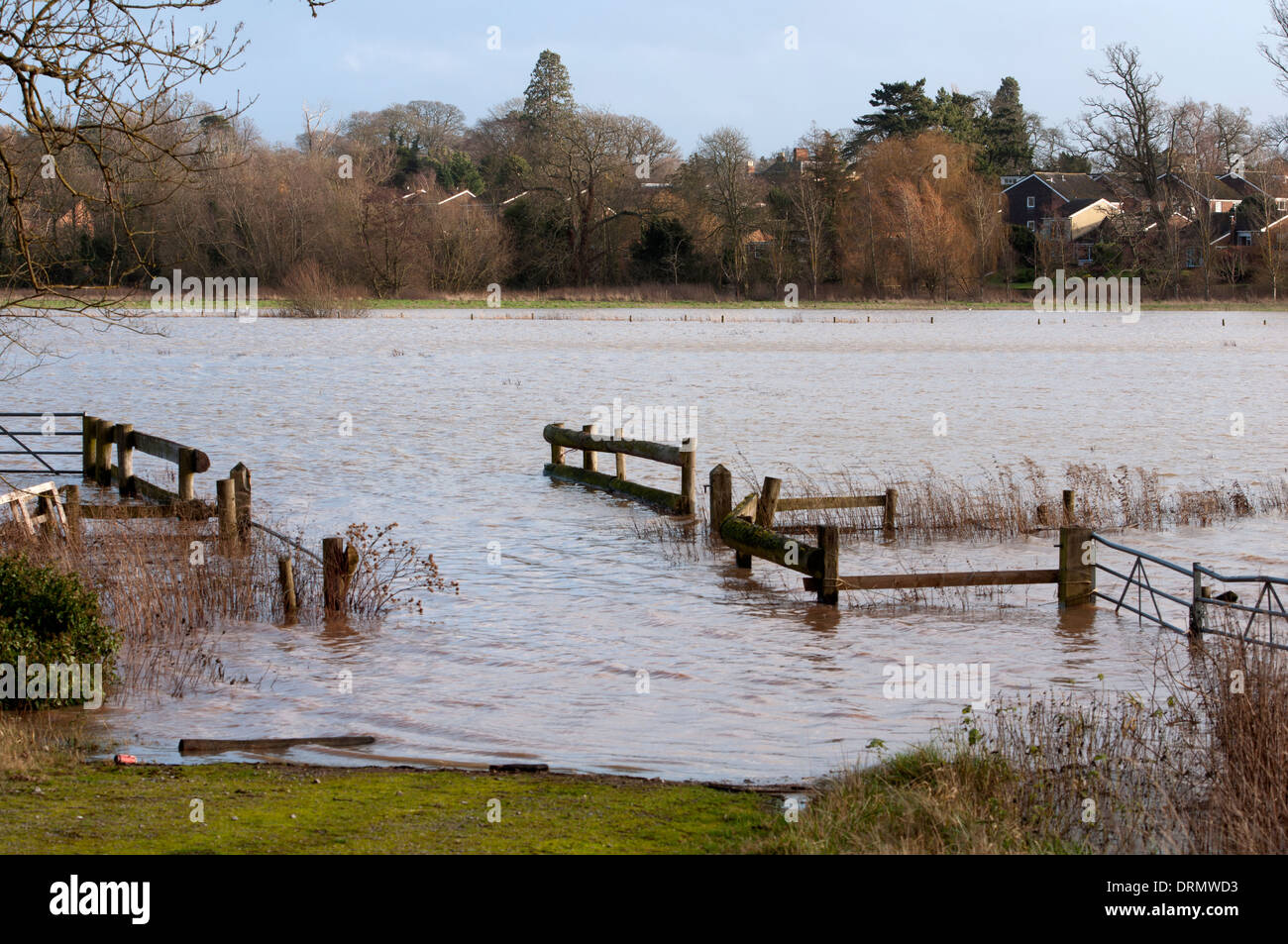 Flooded farmland near the River Avon, Barford, Warwickshire, UK Stock Photo