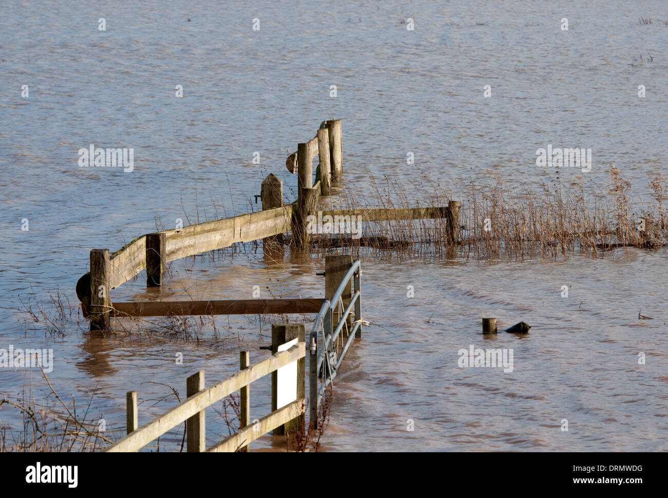 Flooded farmland near the River Avon, Barford, Warwickshire, UK Stock Photo
