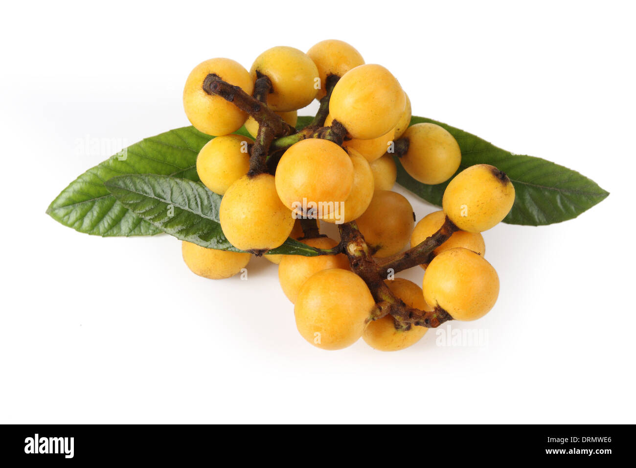 fresh loquat fruit Stock Photo