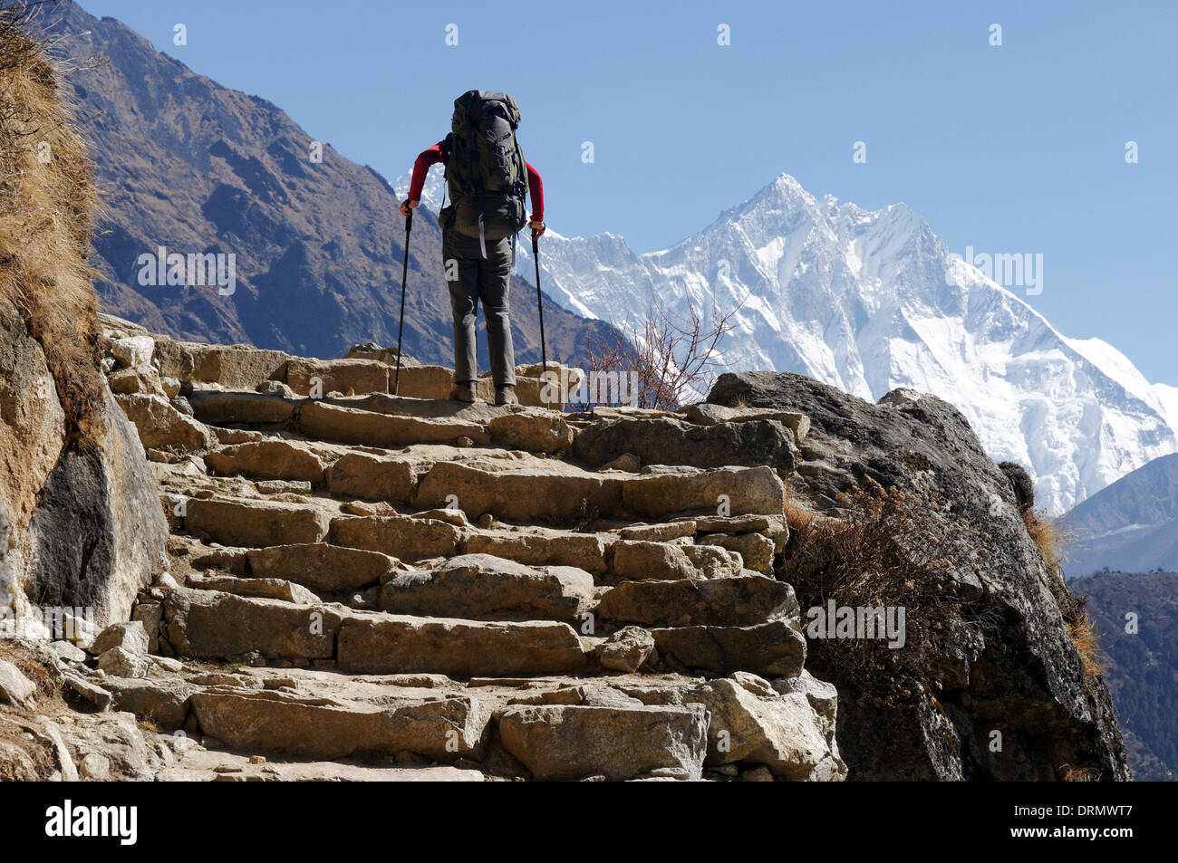 A trekker climbing steps on the everest base camp trek, nepal, with ...