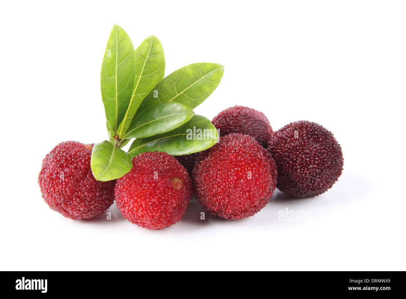 ripe arbutus Stock Photo