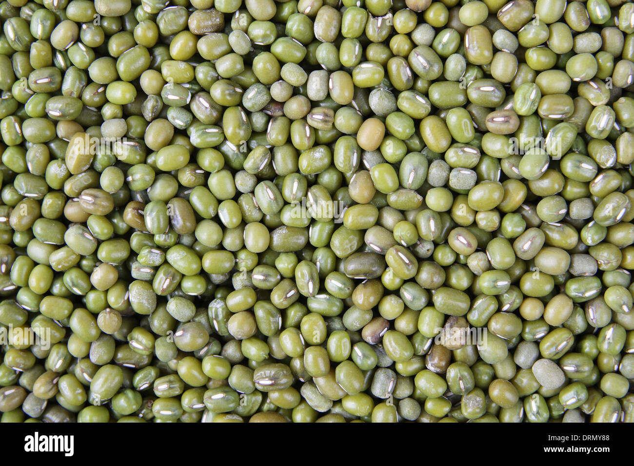 mung beans Stock Photo