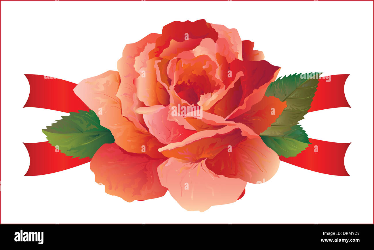 Internal Roses Wit Ribbon rose with ribbons Stock Photo - Alamy