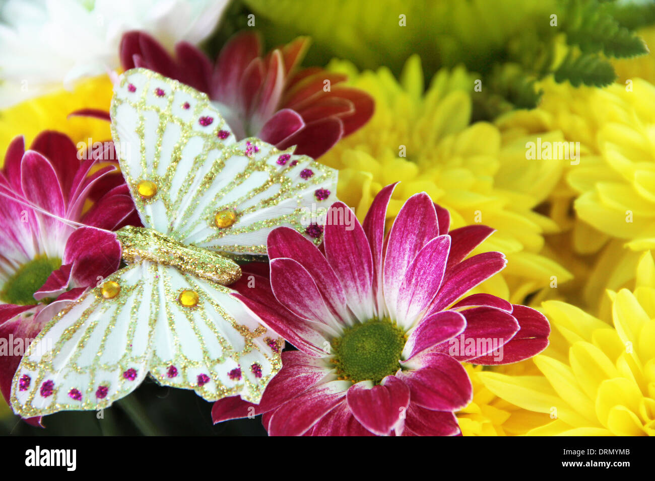 Bunch of different flowers close up background Stock Photo