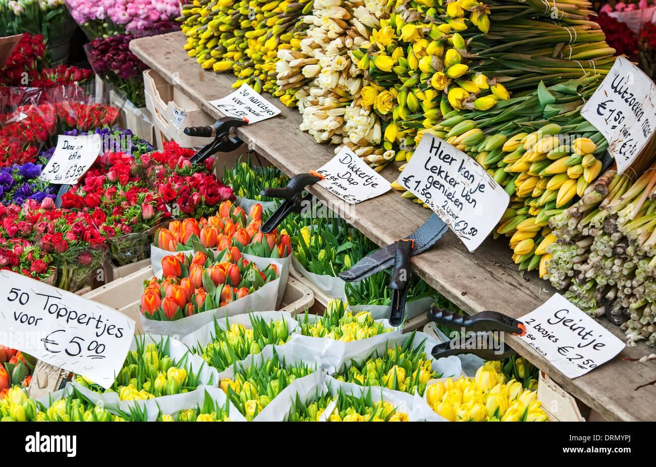 Flowers for sale, farmers market, Grote Markt, Haarlem, Netherlands Stock Photo