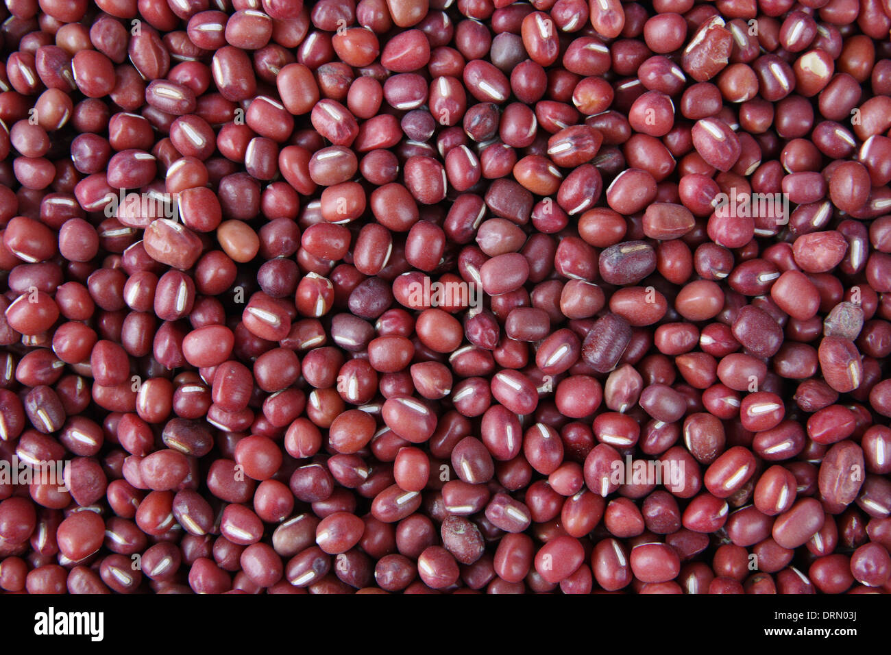 red beans Stock Photo