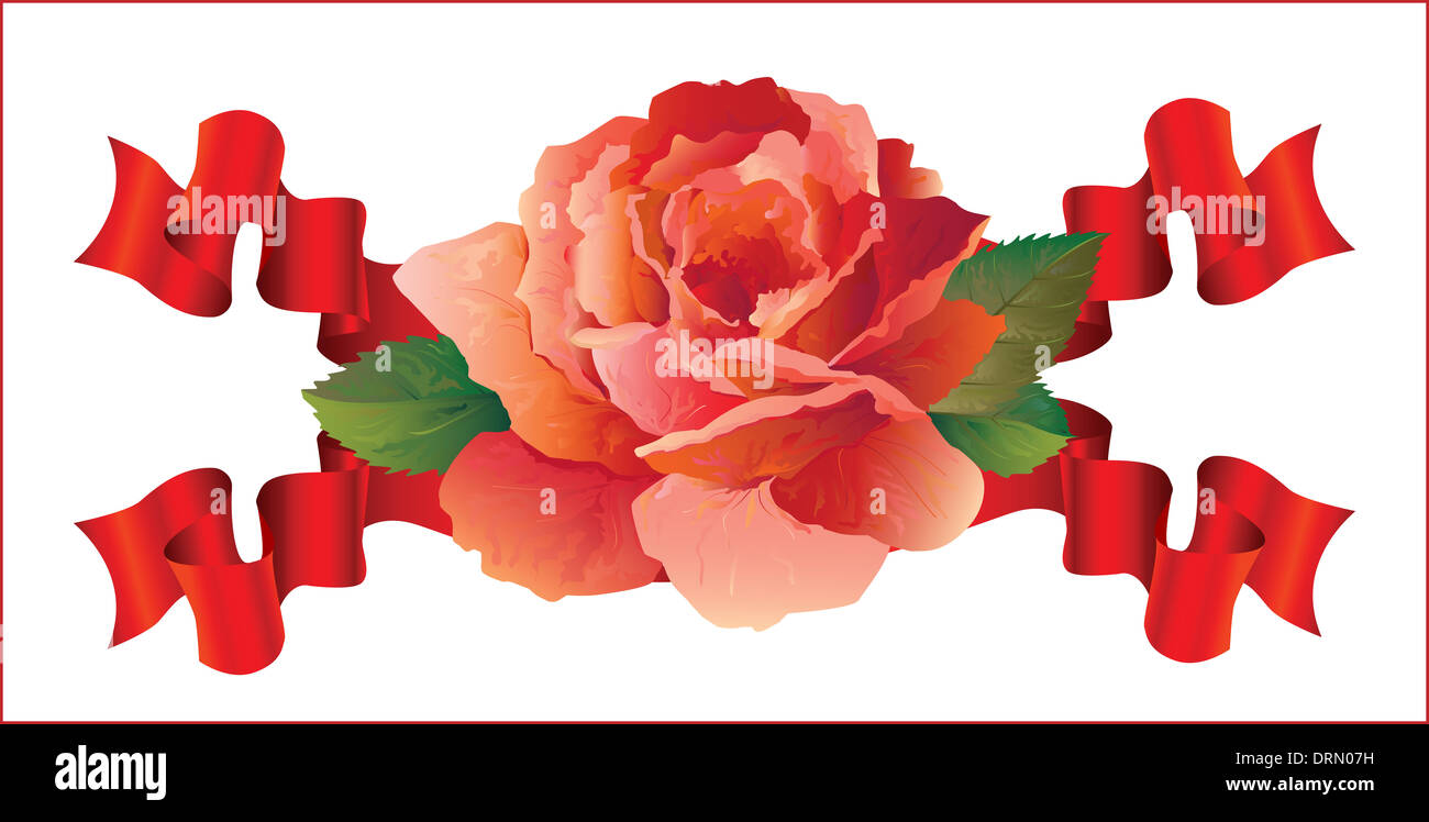 Internal Roses Wit Ribbon Summer rose caption hi-res stock photography and images - Alamy