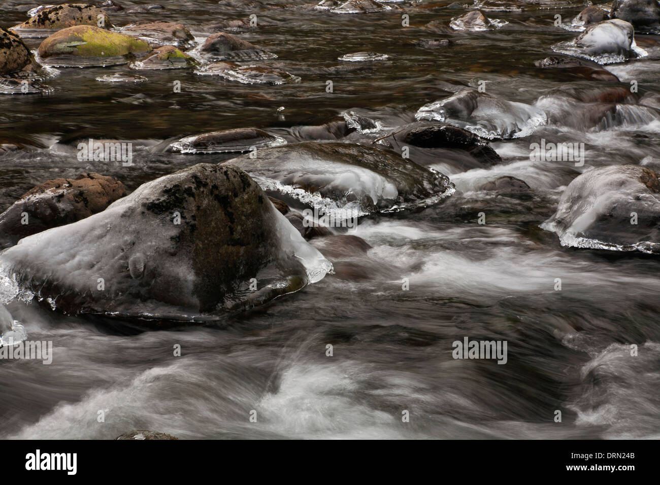 Rimed Rocks WASHINGTON - Ice rimed rocks in the South Fork Snoqualmie River near ...