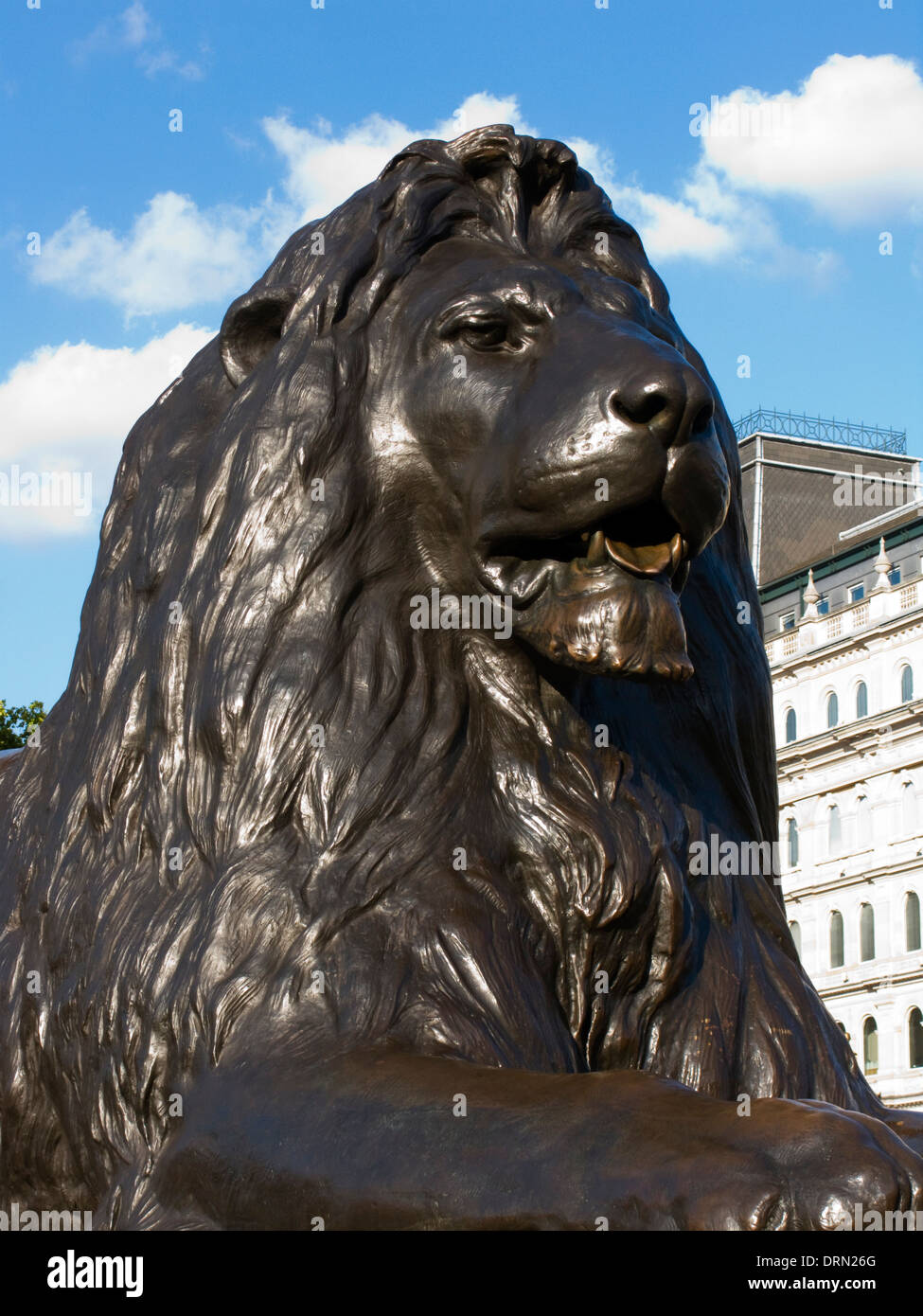 Monumental bronze lion sculpted by Sir Edwin Landseer in Trafalgar Square, London, UK Stock Photo