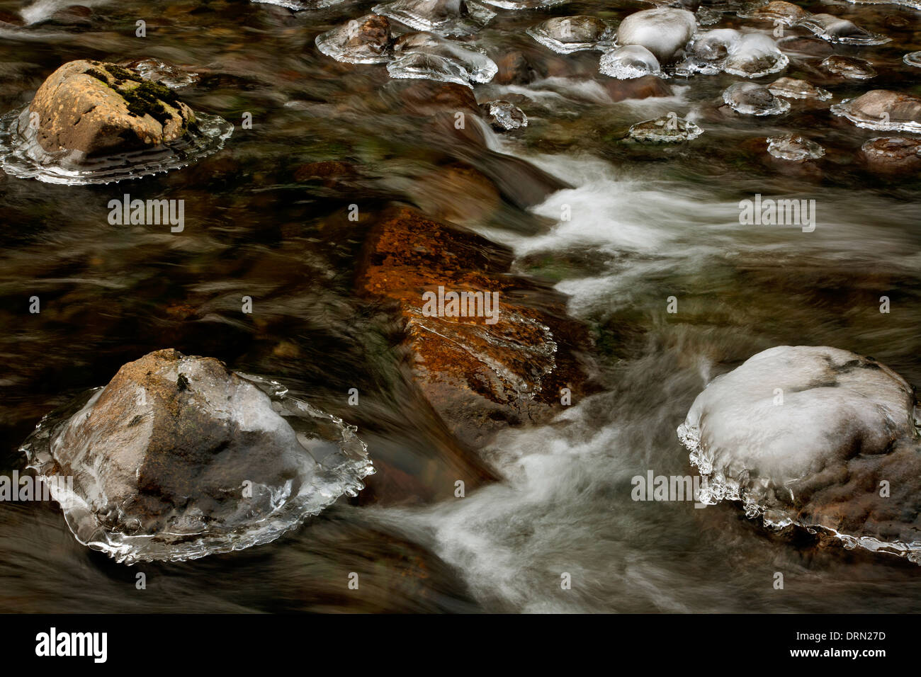 Rimed Rocks WASHINGTON - Ice rimed rocks in the South Fork Snoqualmie River near ...