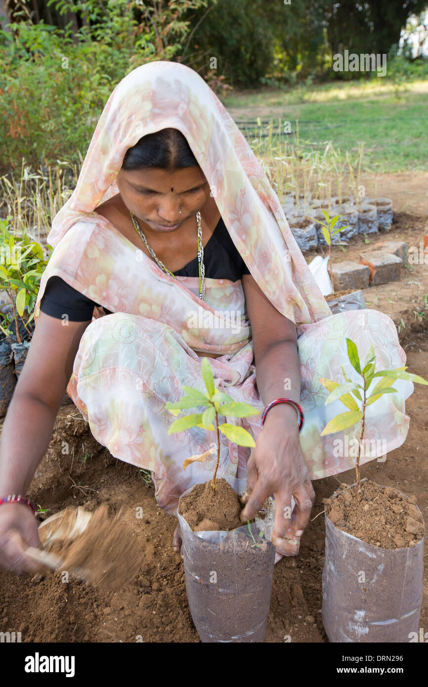 Tree planting at the Muni Seva Ashram in Goraj, near Vadodara, India