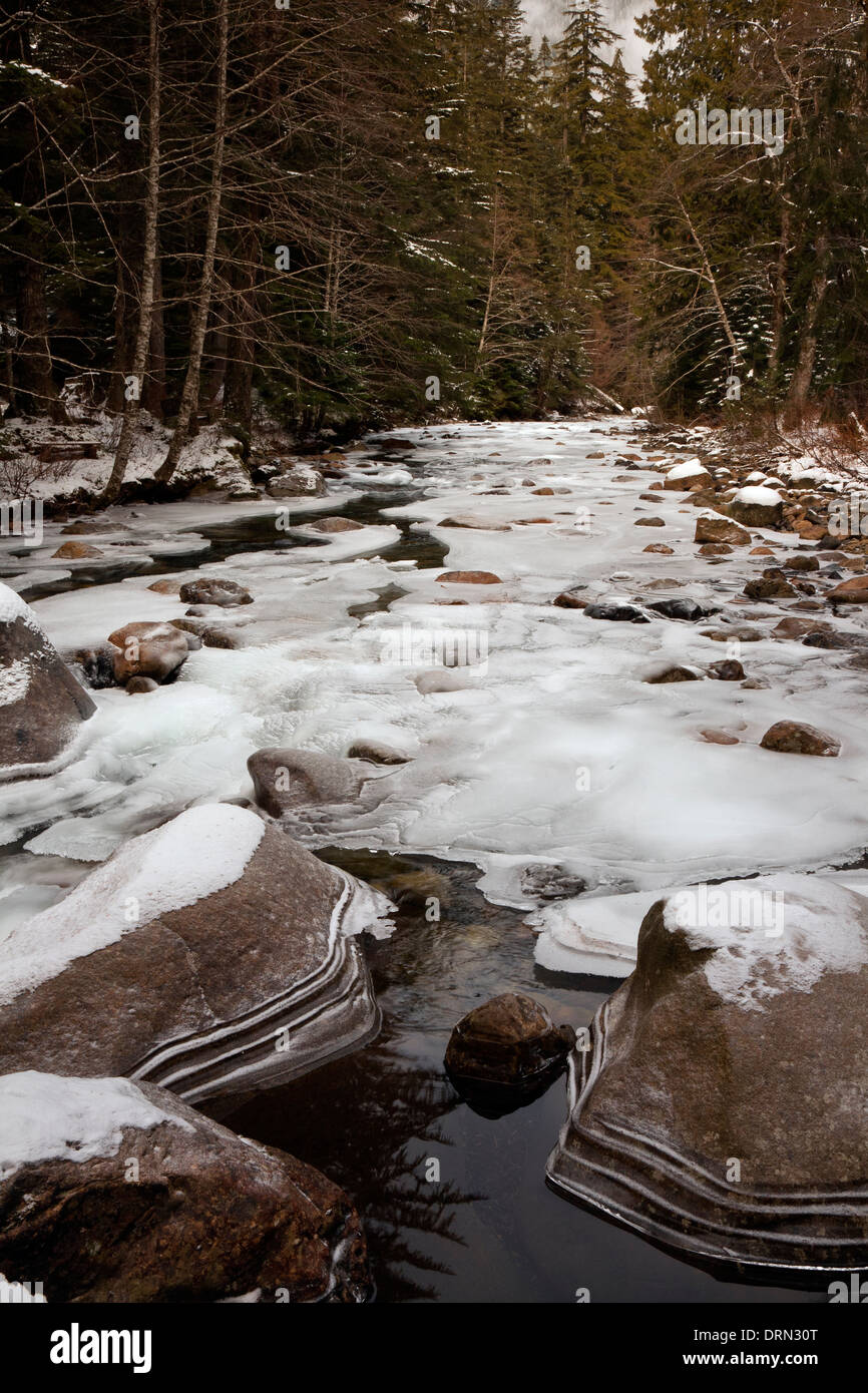 Rimed Rocks Ice rimed rocks in the South Fork Snoqualmie River along the Franklin ...
