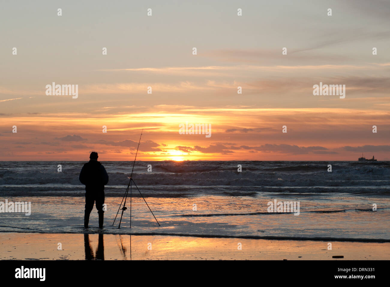 Winter flounder fishing on Llangennith Beach, Gower Stock Photo Alamy