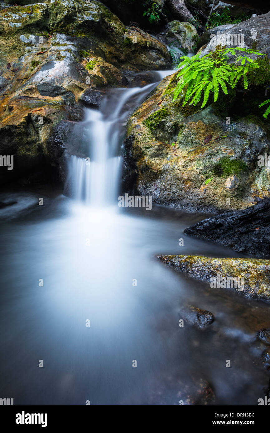 Cascade on Limekiln Creek, Limekiln State Park, Big Sur, California USA