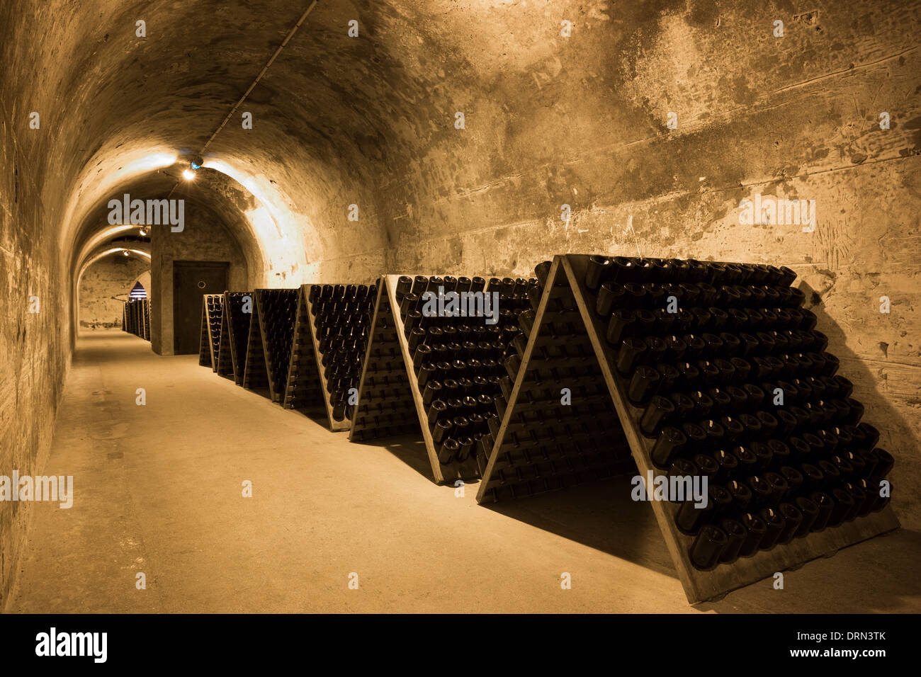 Methuselah bottles of champagne in frames for remuage in caves of Champagne Taittinger in Reims, Champagne-Ardenne, France Stock Photo