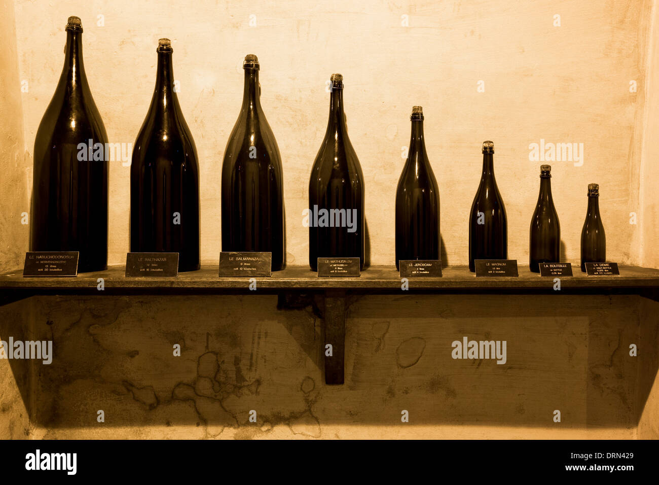 Demie, Magnum, Jeroboam, Methusalem, Balthazar, Salmanazar, Nebuchadnezzar bottles at Champagne Taittinger in Reims, France Stock Photo