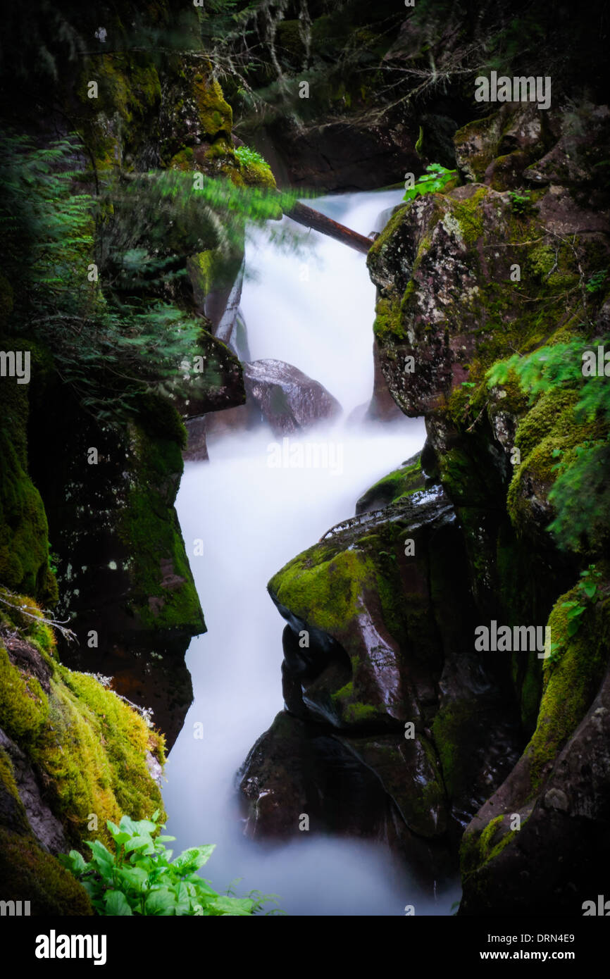 Waterfall in a forest canyon, Stock Photo