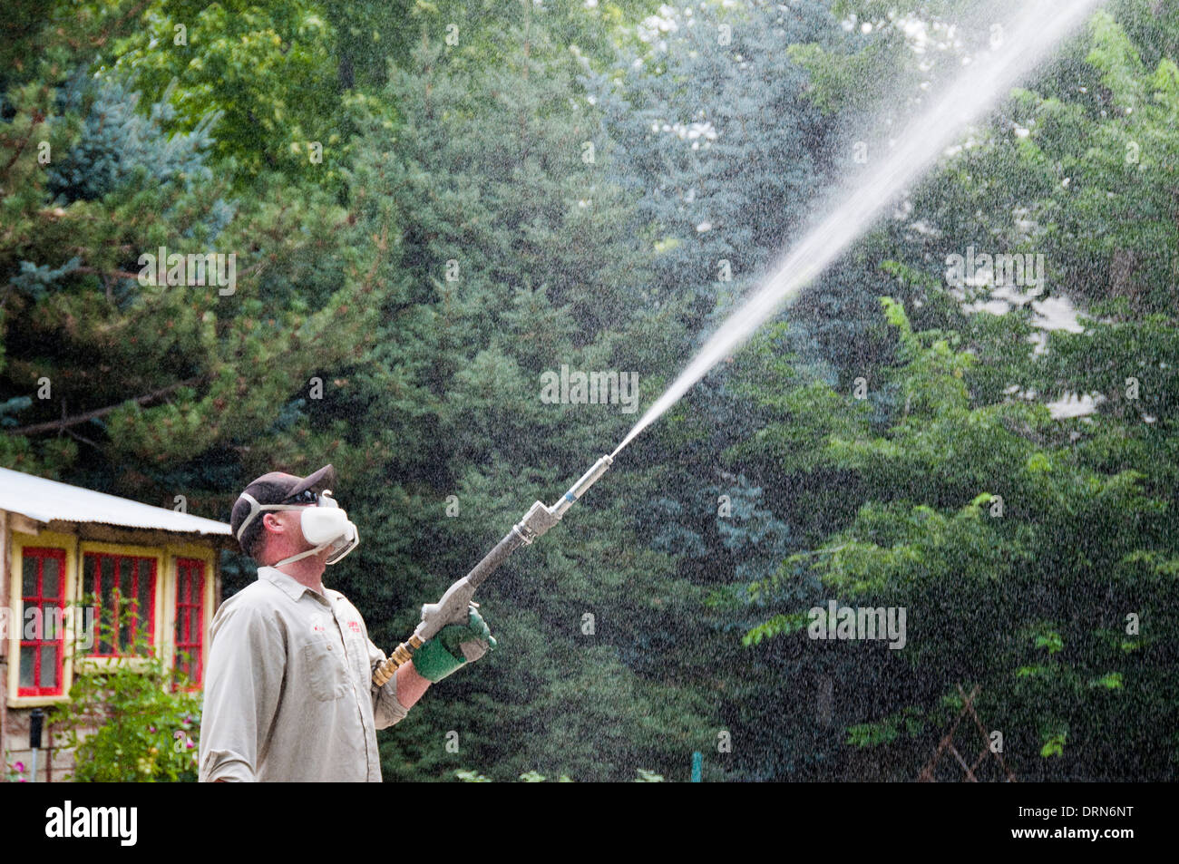 Pesticide applicator applying insecticides to trees in Boise, Idaho