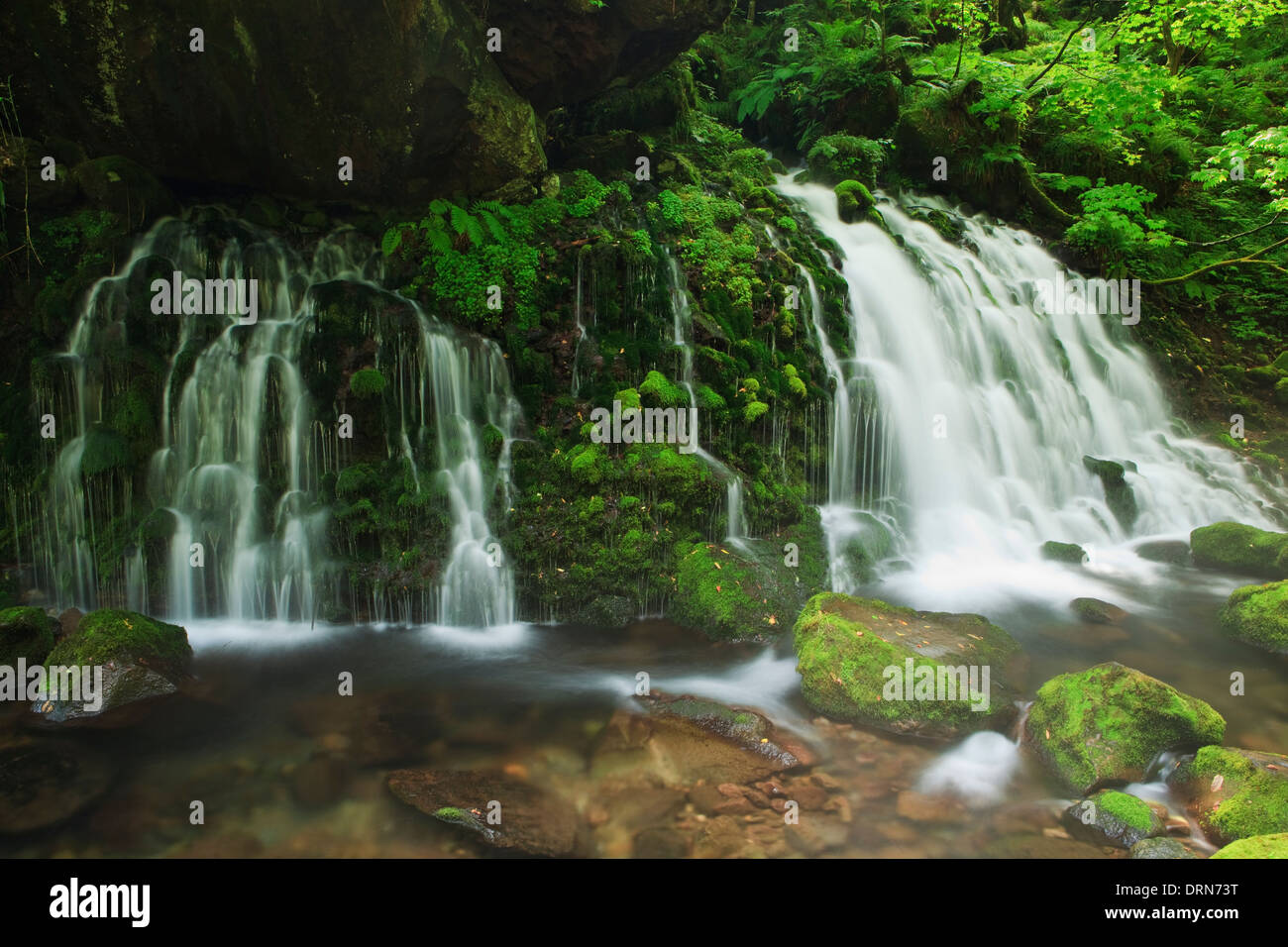 Mototaki Waterfall and moss covered rocks Stock Photo