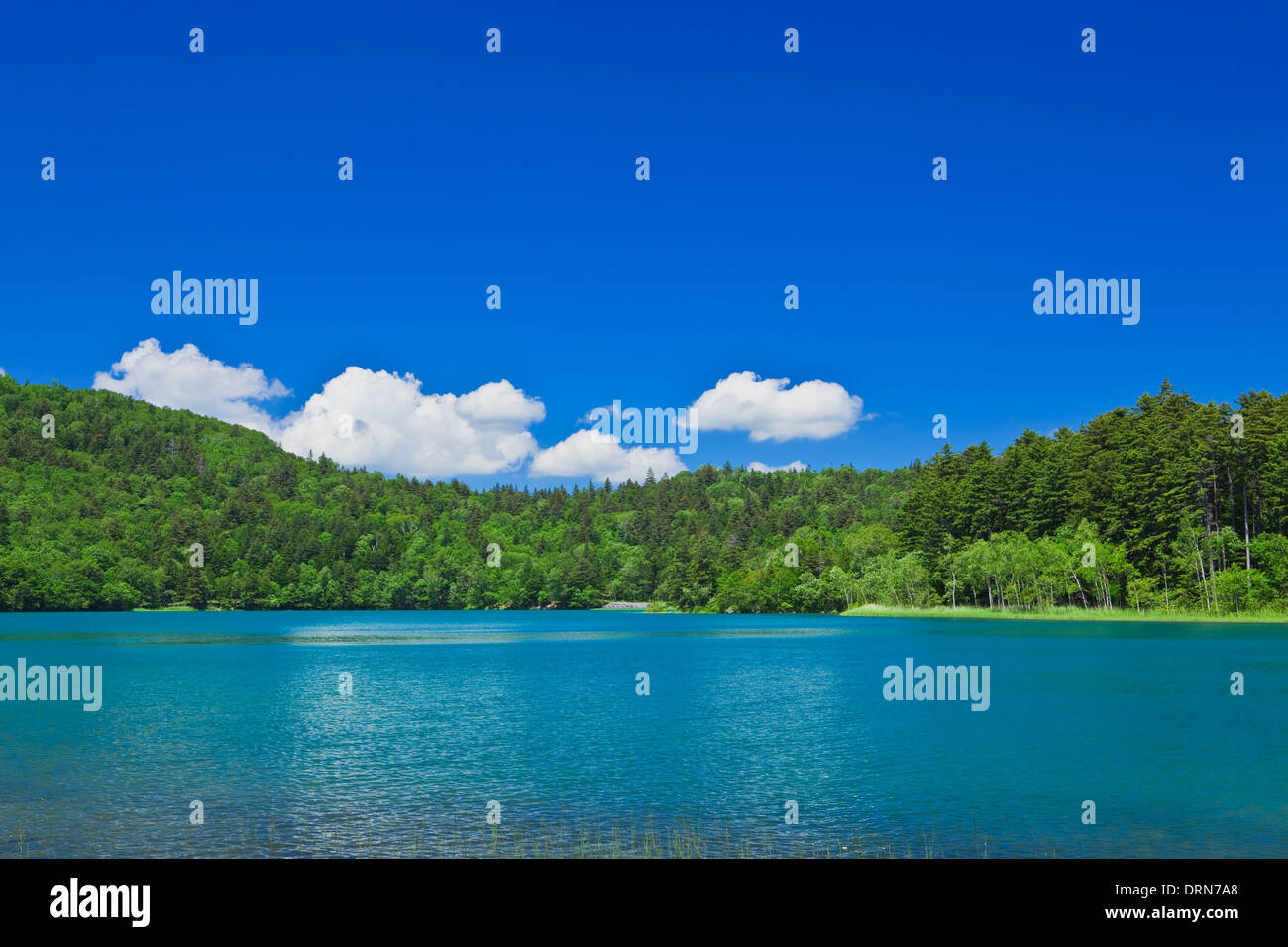 Mount Akan-fuji, Mount Meakan and Lake Onneto, Ashoro, Hokkaido, Japan Stock Photo