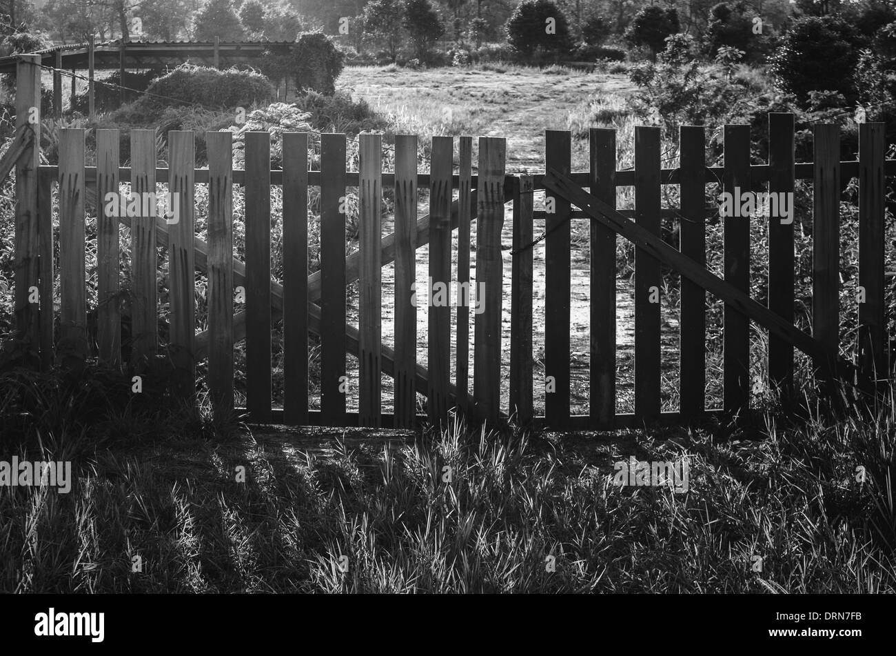 Sunrise wood fence Black and White Stock Photos & Images - Alamy