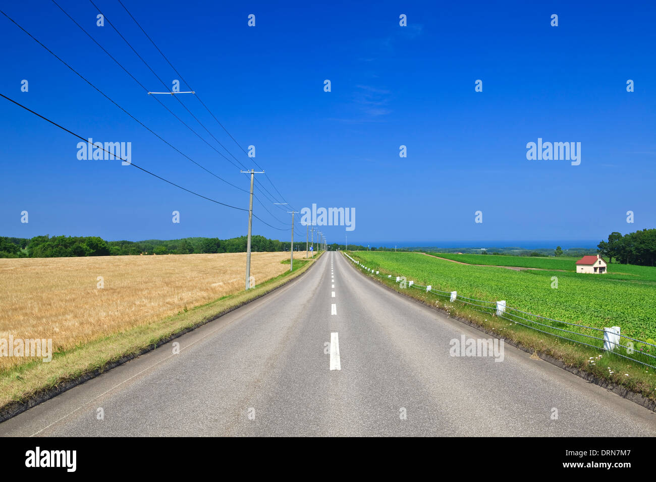 A straight road in Nroth Island Hokkaido Stock Photo