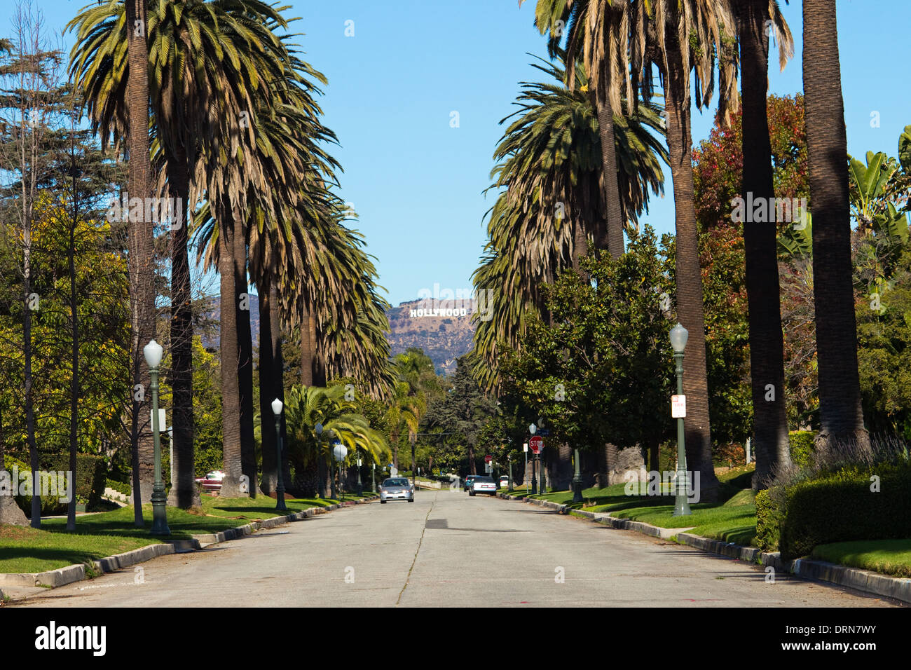 Hollywood Sign with palm trees Stock Photo