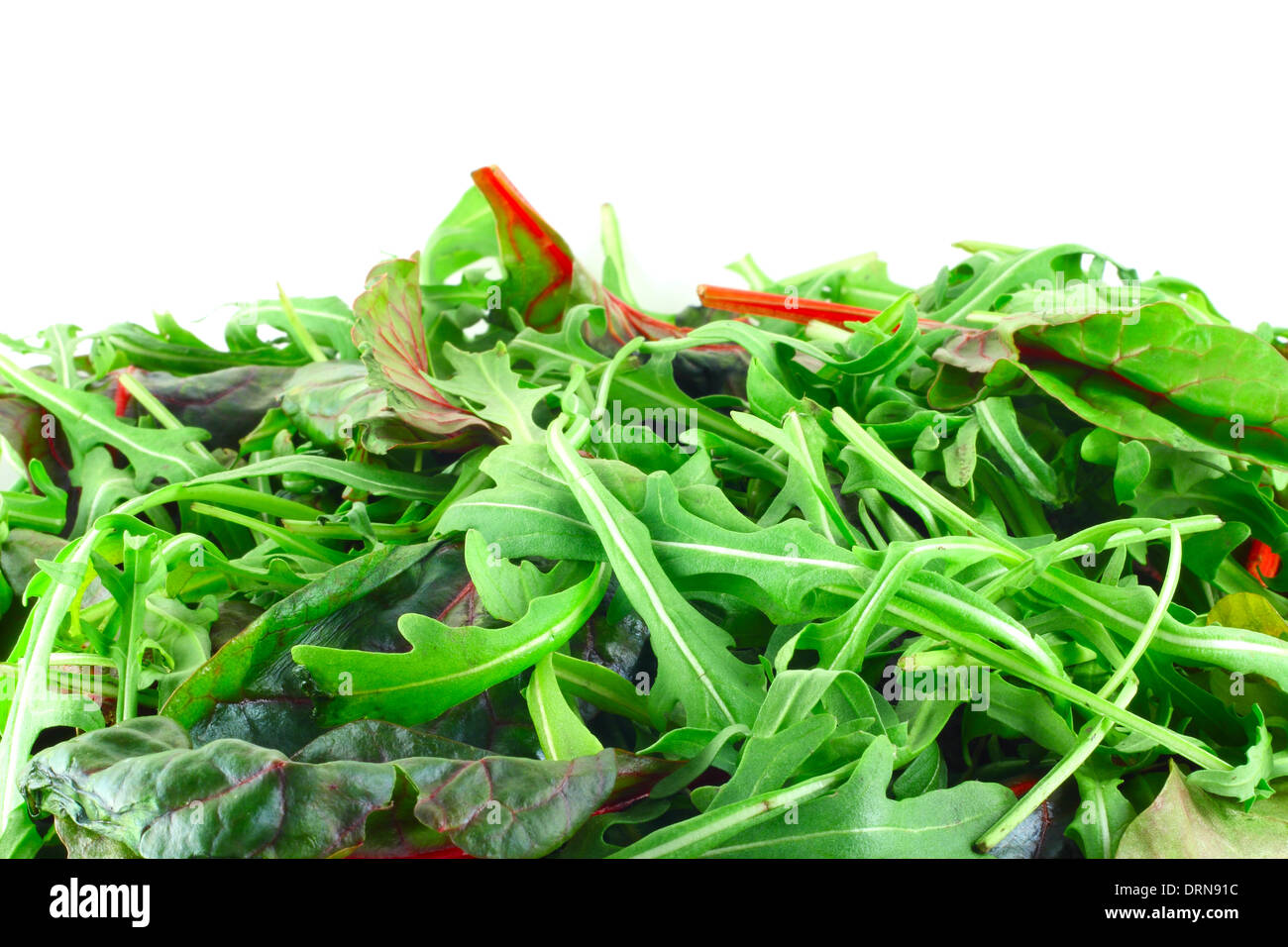 Rucola and Chard salad background with white copy space Stock Photo
