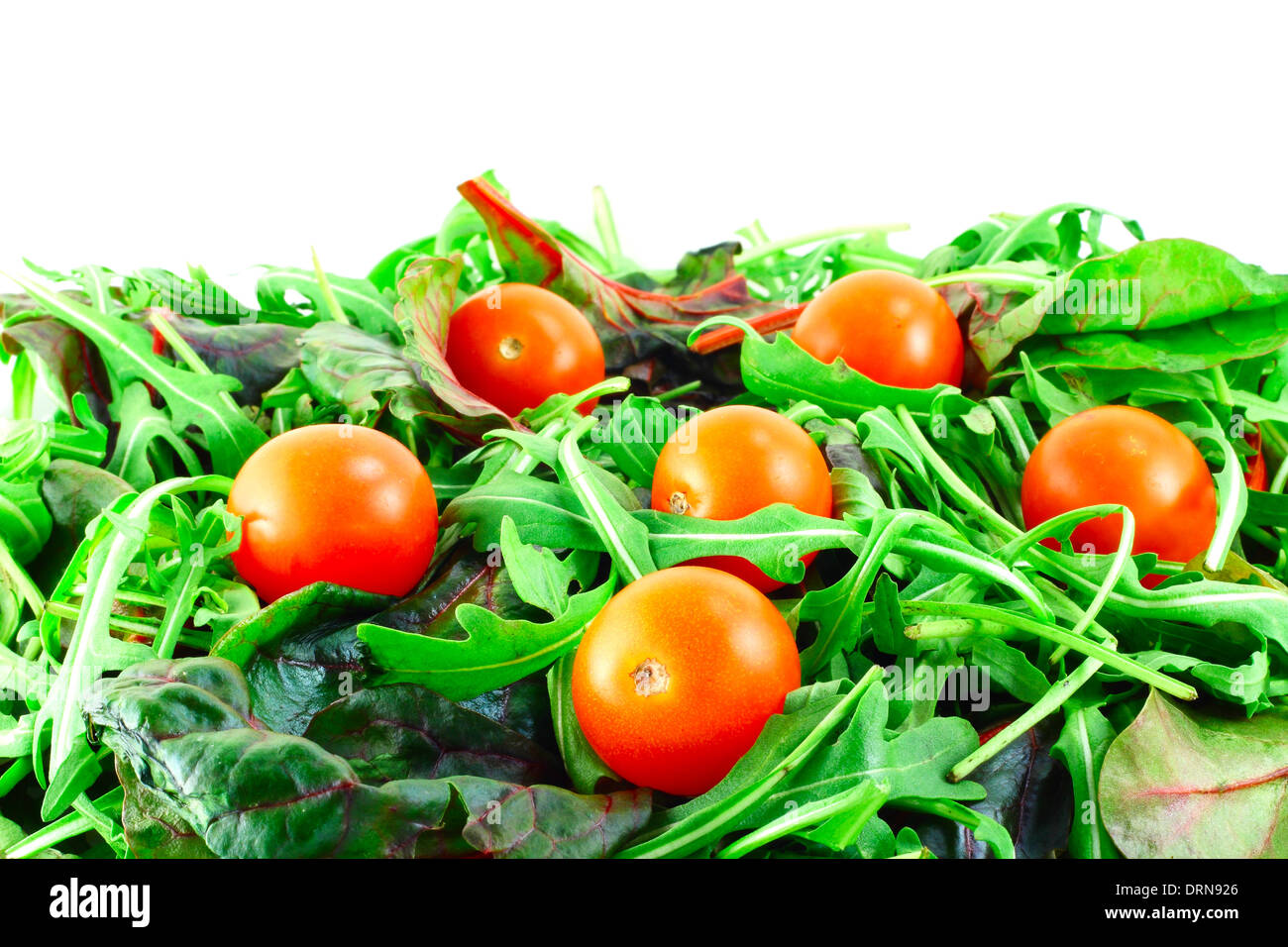 Rucola ,Chard and cherry tomatoes salad background with white copy space Stock Photo