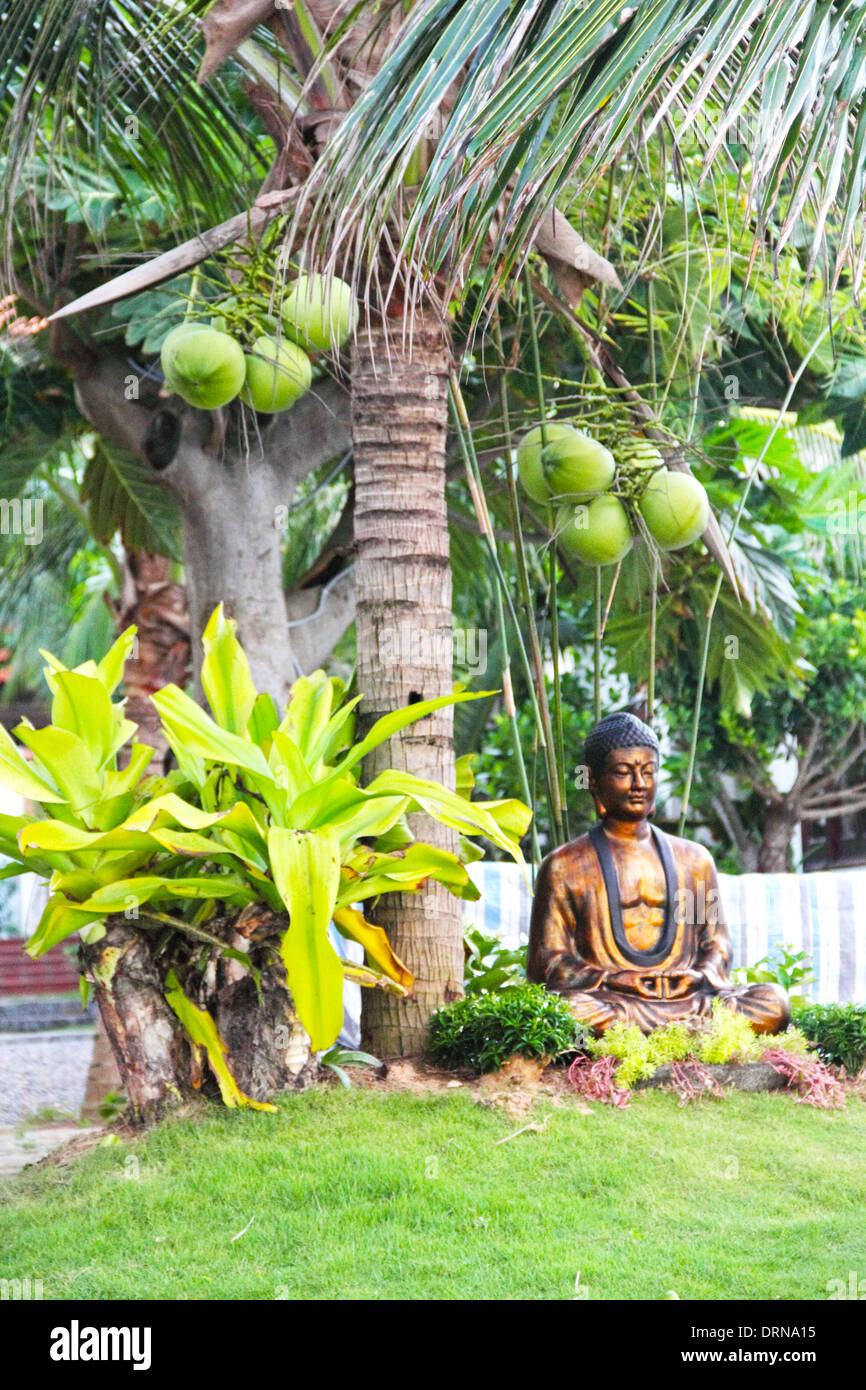 Buddha statue in botanical garden under coconut palm tree Stock Photo -  Alamy