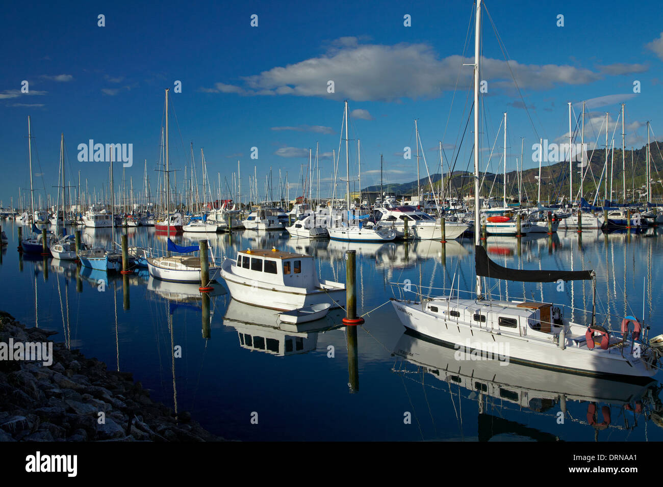 Nelson harbour nelson harbour hi-res stock photography and images - Alamy