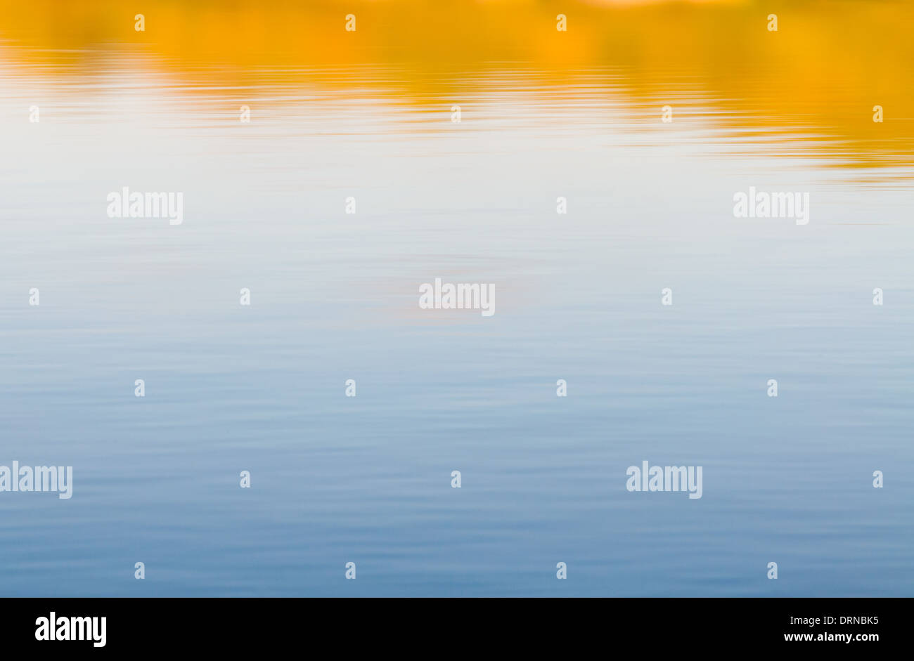 Sky and trees reflecting in a calm water Stock Photo - Alamy