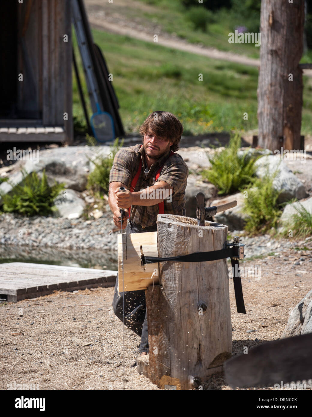 A performer uses a crosscut saw to cut wood during a lumberjack show on