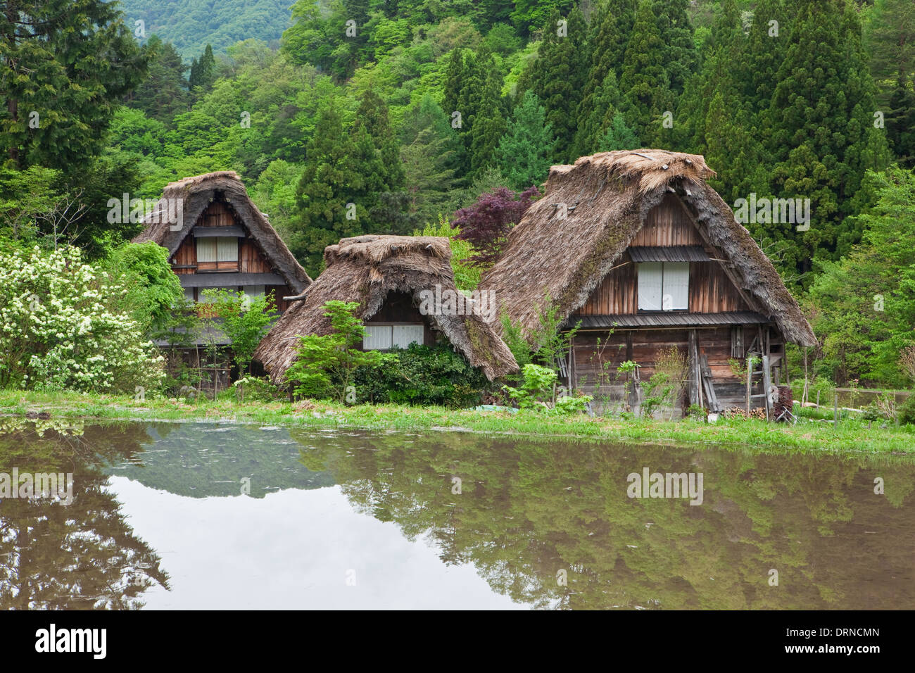 World Heritage Shirakawa-go in Gokayama area Stock Photo