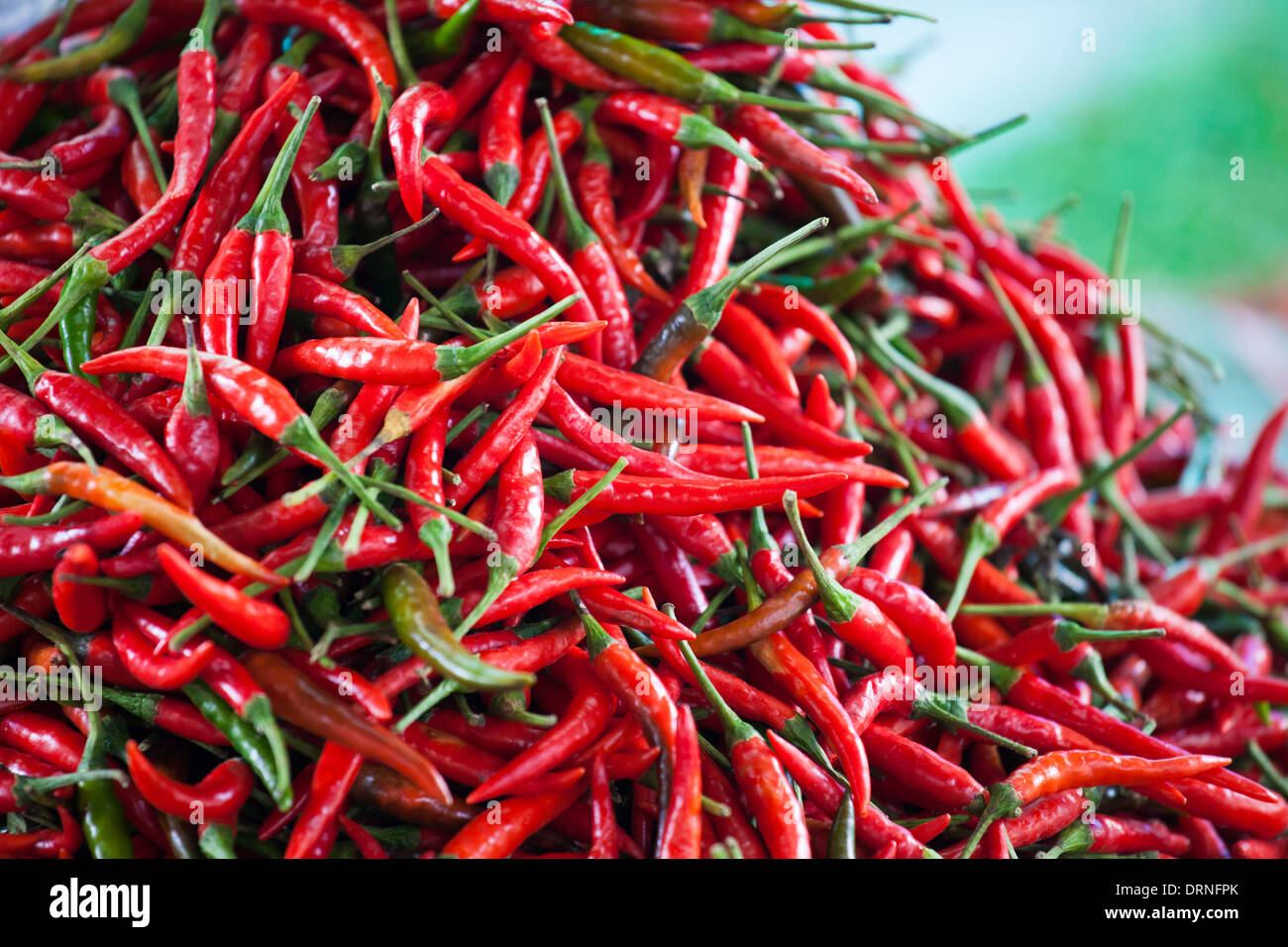 Chillies of thailand hi-res stock photography and images - Alamy