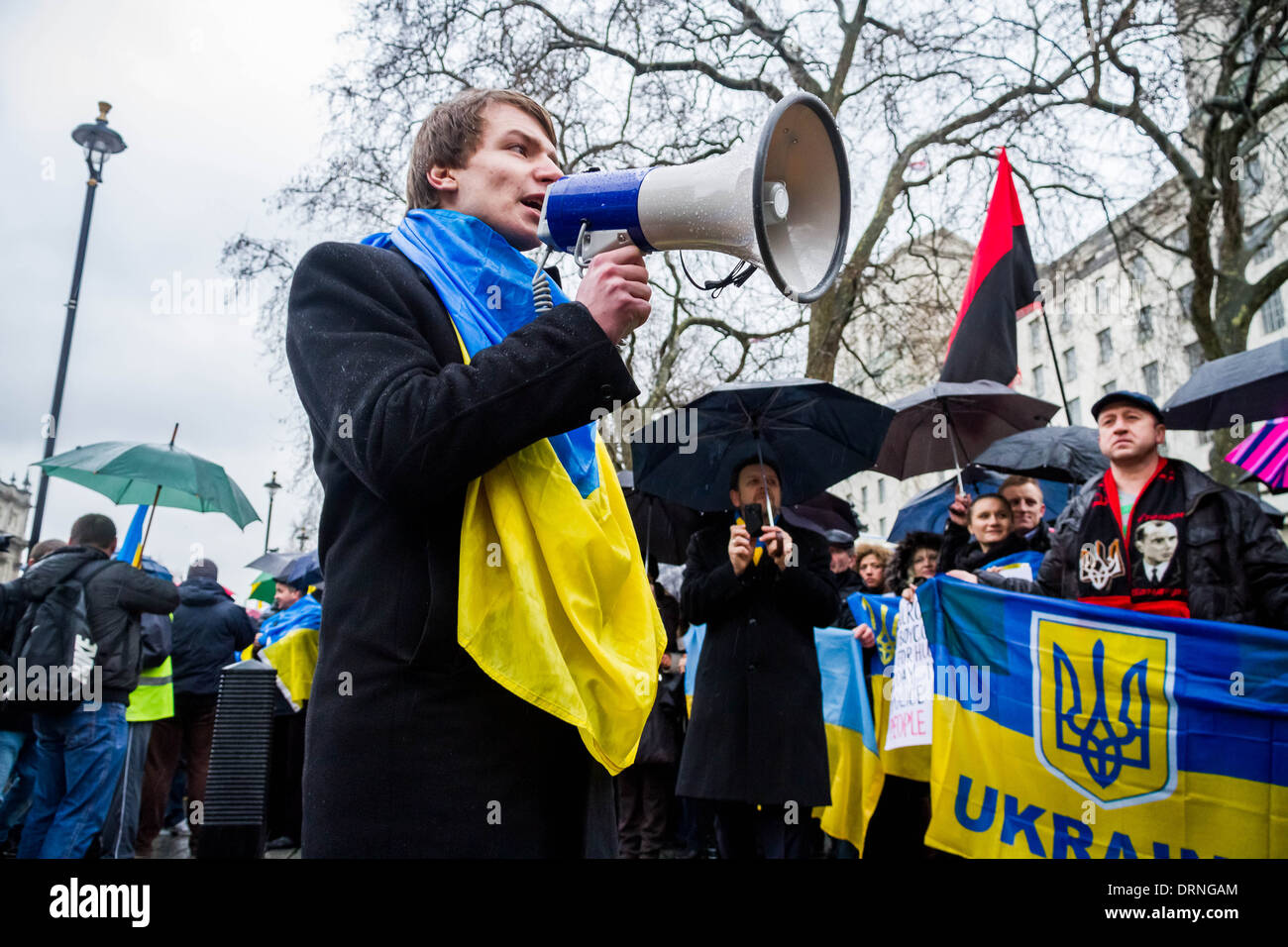 Ukrainian Euromaidan Protest On Whitehall In London Stock Photo - Alamy