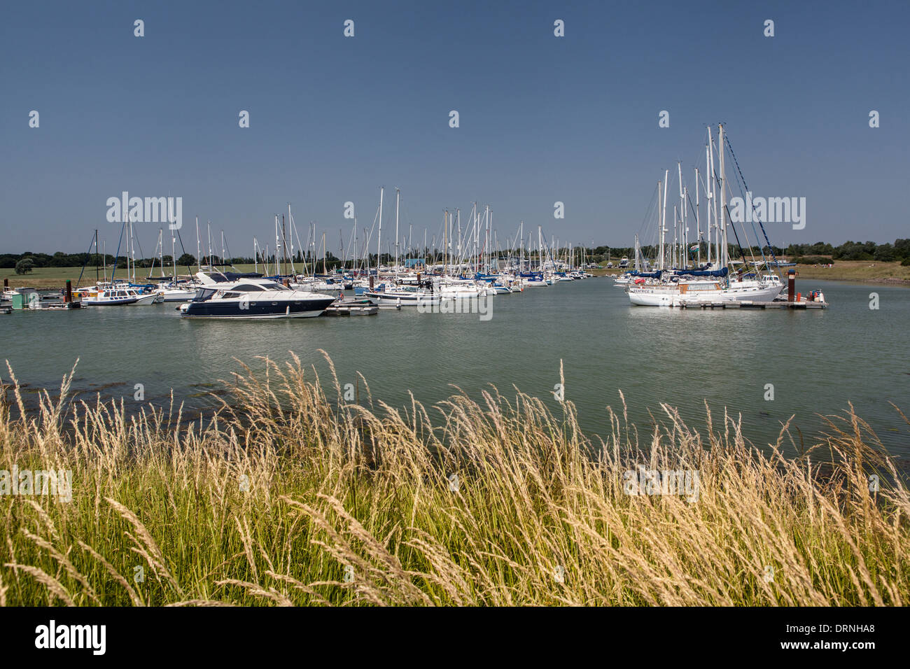 Burnham on Crouch Marina, Essex England Stock Photo Alamy