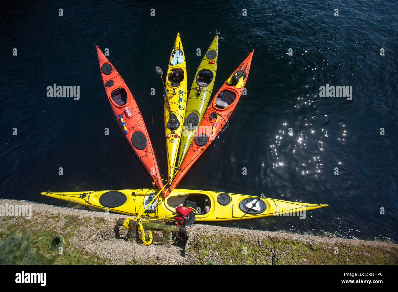 Island pattern hires stock photography and images Alamy