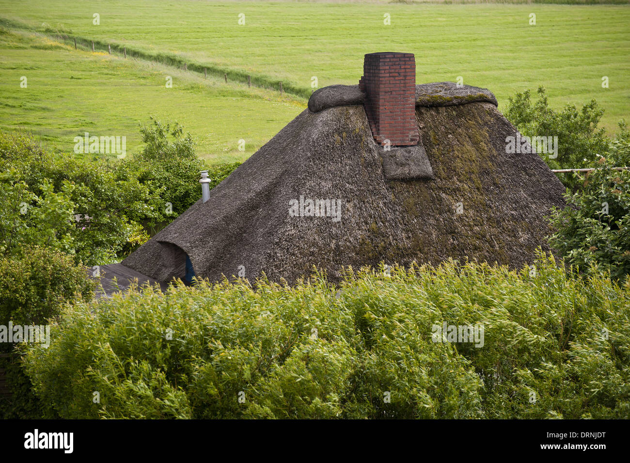 Haus Am Deich Stock Photo 66243684 Alamy
