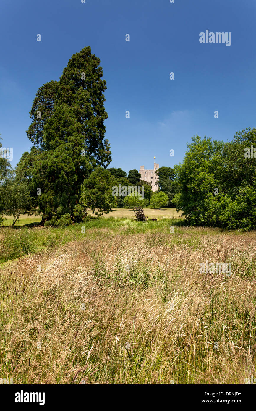 Hedingham Castle, Castle Hedingham, Essex England Stock Photo - Alamy