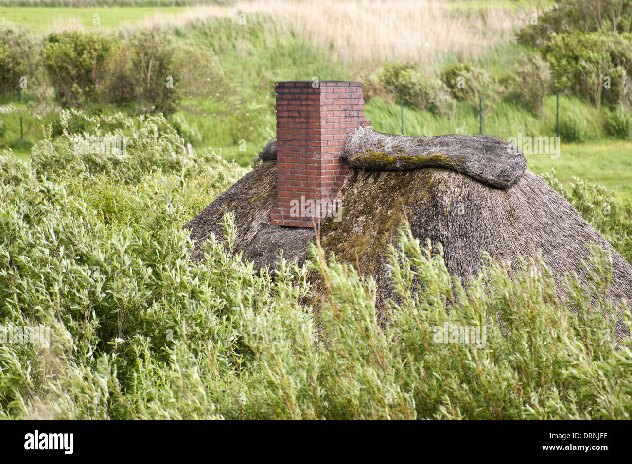 Haus Am Deich Stock Photo 66243702 Alamy
